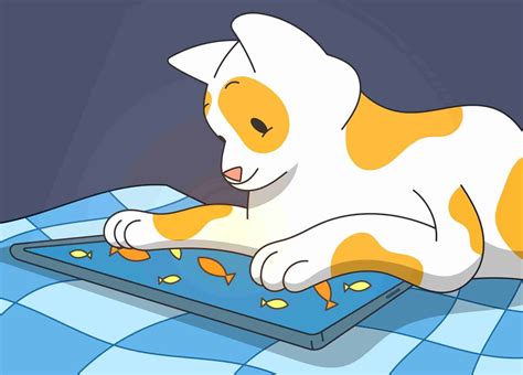 Cool Cat app for mobile .